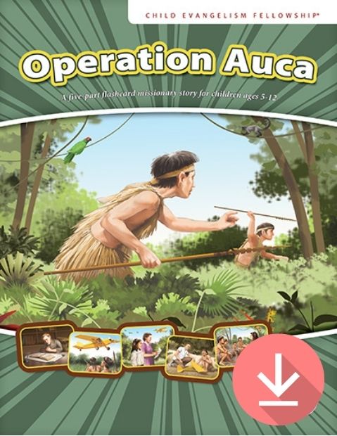 Operation Auca