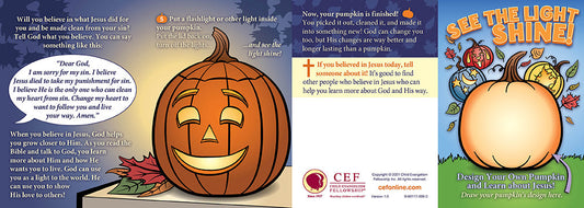 See the Light Shine - Tract