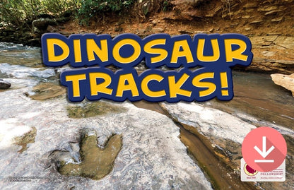 Dinosaur Tracks - Download