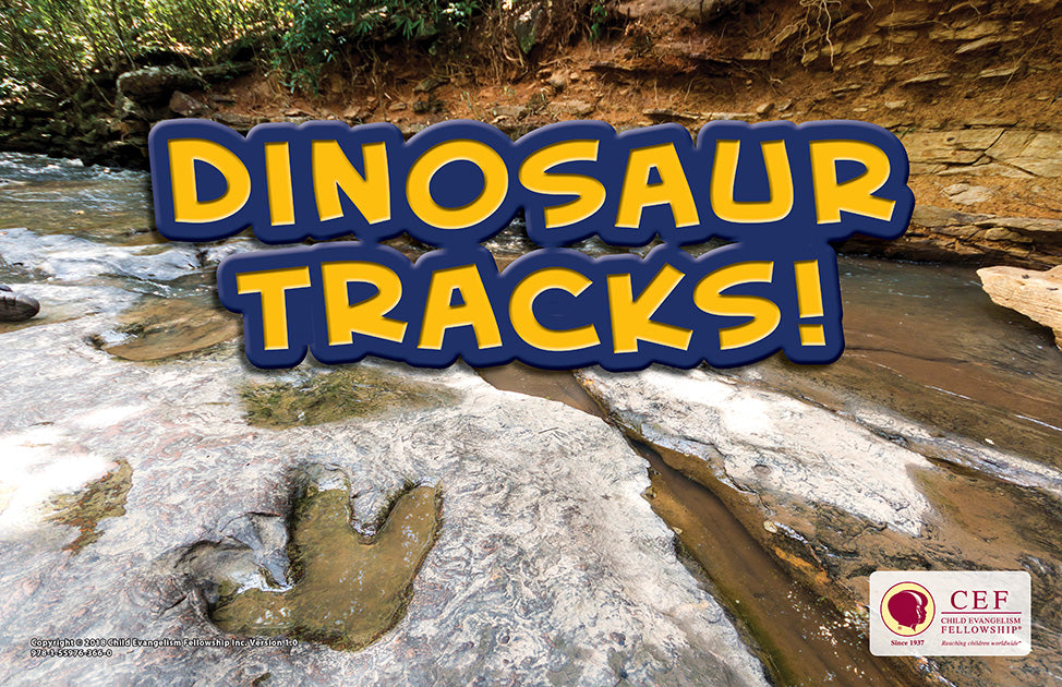 Dinosaur Tracks - Visual and Text