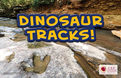 Dinosaur Tracks - Visual and Text