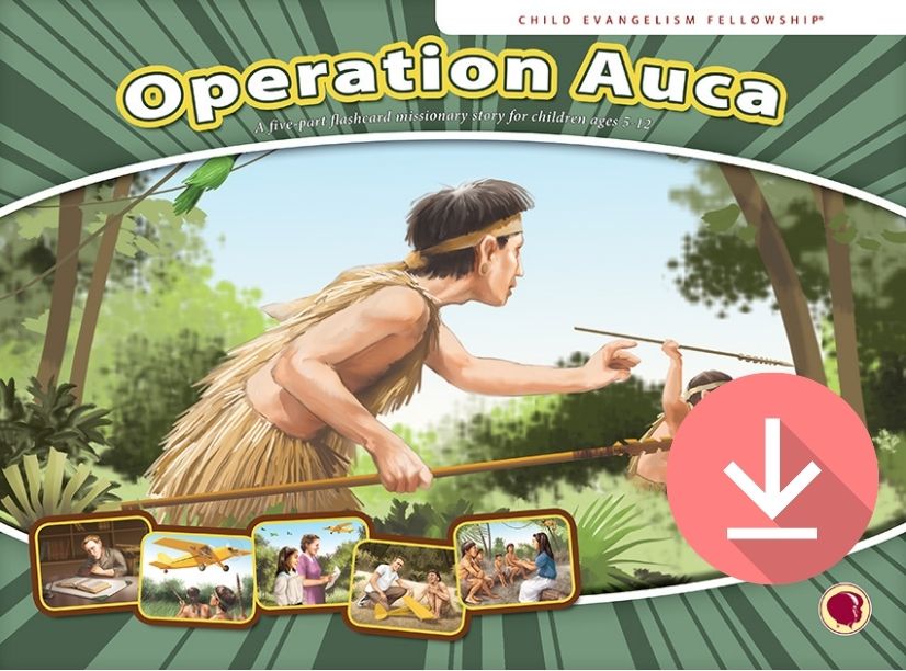 Operation Auca